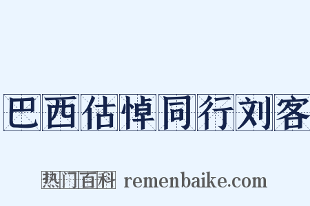 巴西估悼同行刘客是什么意思的图片